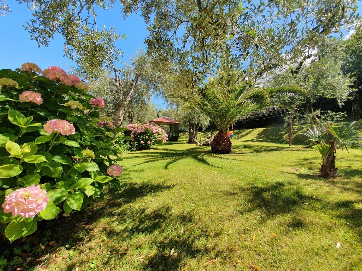 Casa Valenti Διαμέρισμα Brenzone sul Garda Εξωτερικό φωτογραφία