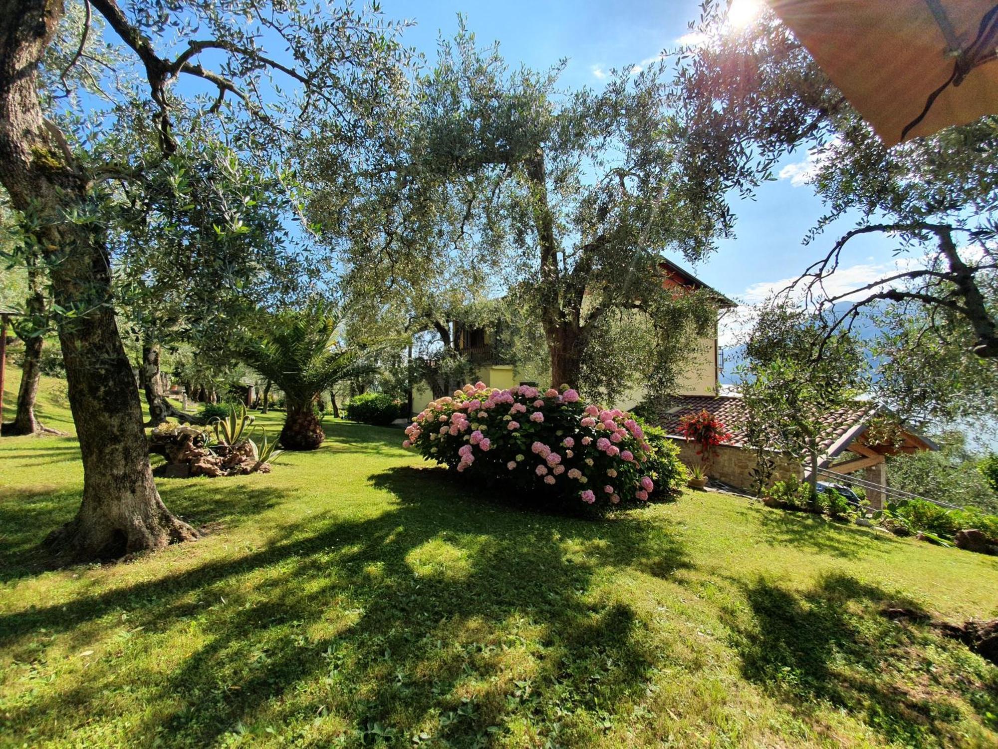 Casa Valenti Διαμέρισμα Brenzone sul Garda Εξωτερικό φωτογραφία