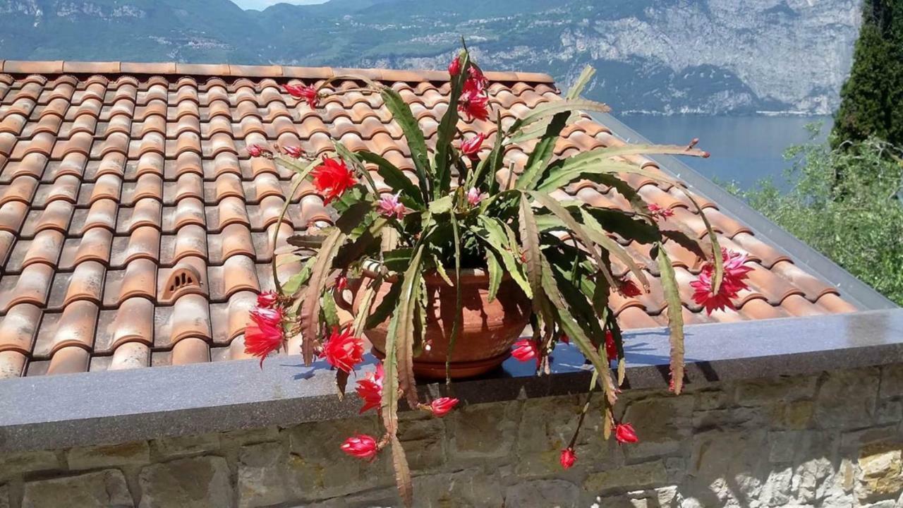 Casa Valenti Διαμέρισμα Brenzone sul Garda Εξωτερικό φωτογραφία